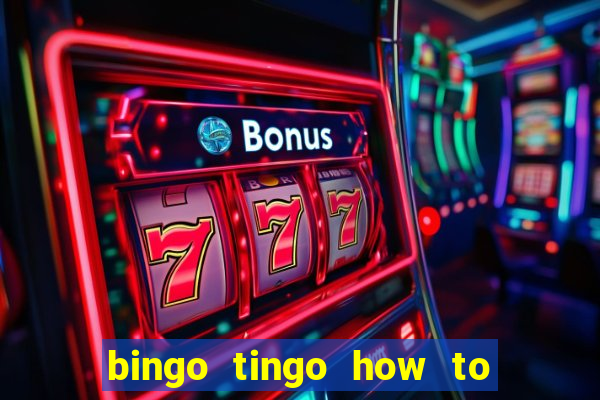 bingo tingo how to use canva