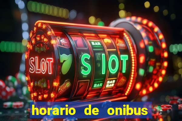 horario de onibus passaro marrom