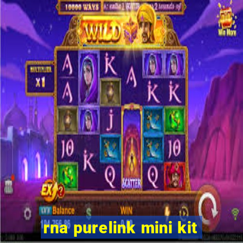 rna purelink mini kit