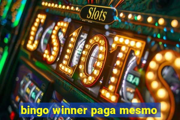 bingo winner paga mesmo