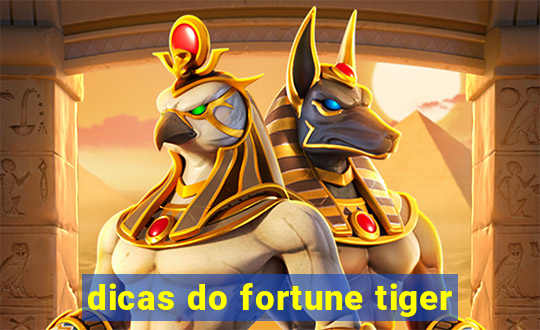 dicas do fortune tiger