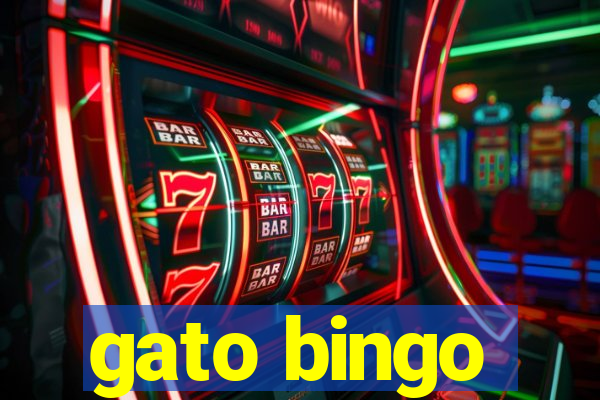 gato bingo