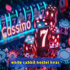 white rabbit hostel hvar