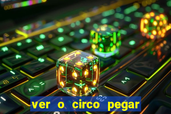 ver o circo pegar fogo significado