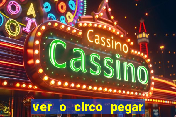 ver o circo pegar fogo significado