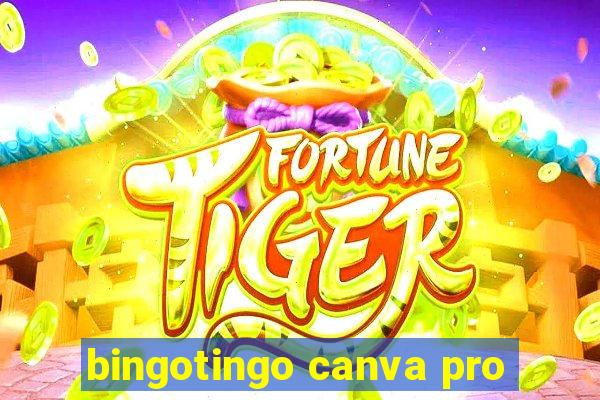 bingotingo canva pro