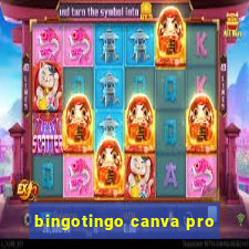 bingotingo canva pro