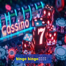 bingo bingo線上投注