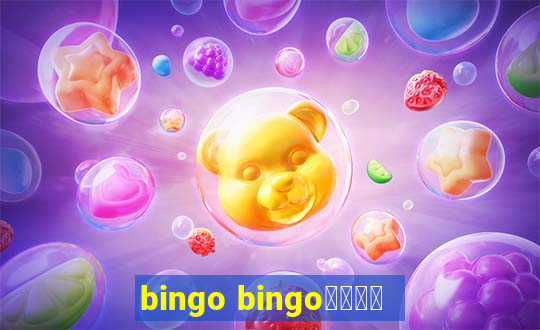 bingo bingo線上投注