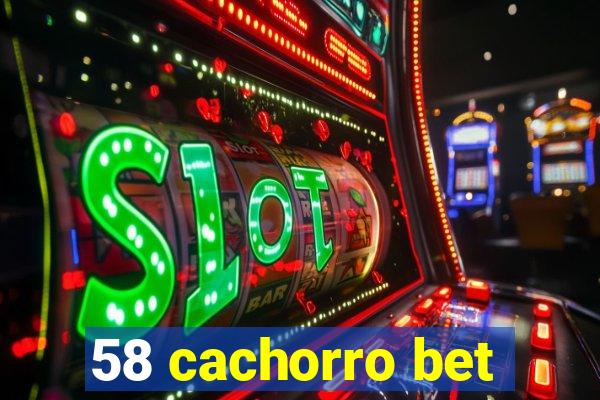 58 cachorro bet