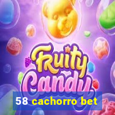 58 cachorro bet