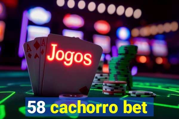 58 cachorro bet