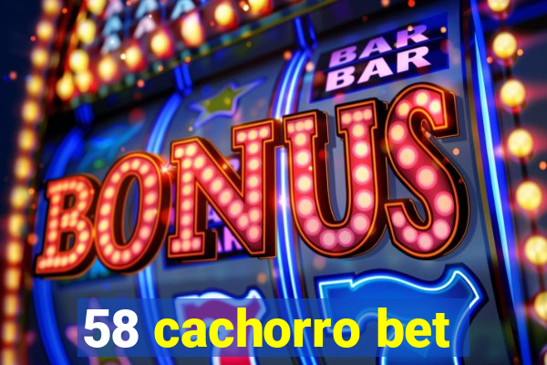 58 cachorro bet