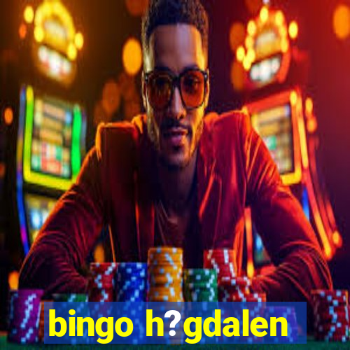 bingo h?gdalen