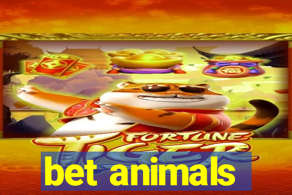 bet animals