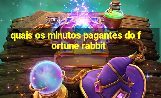 quais os minutos pagantes do fortune rabbit