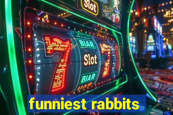 funniest rabbits