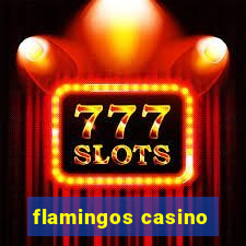 flamingos casino