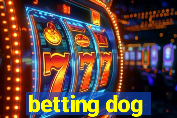 betting dog