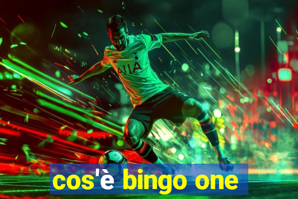 cos'è bingo one