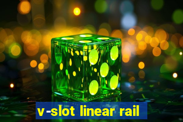 v-slot linear rail