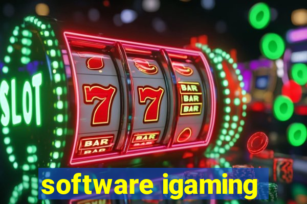 software igaming