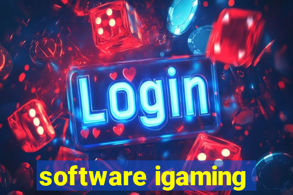 software igaming