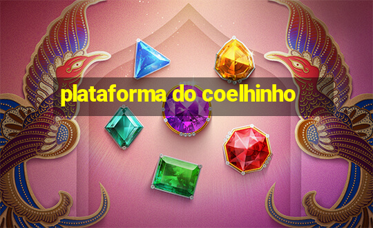 plataforma do coelhinho