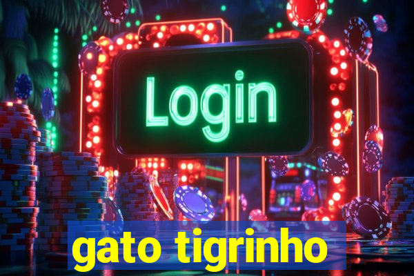 gato tigrinho