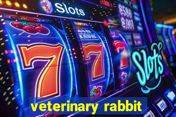 veterinary rabbit