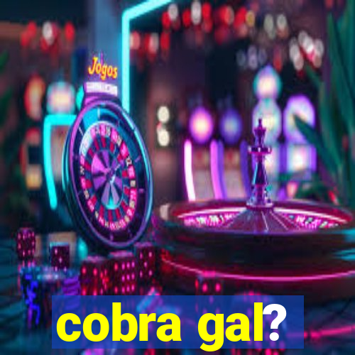 cobra gal?