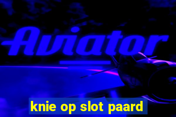 knie op slot paard