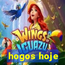 hogos hoje