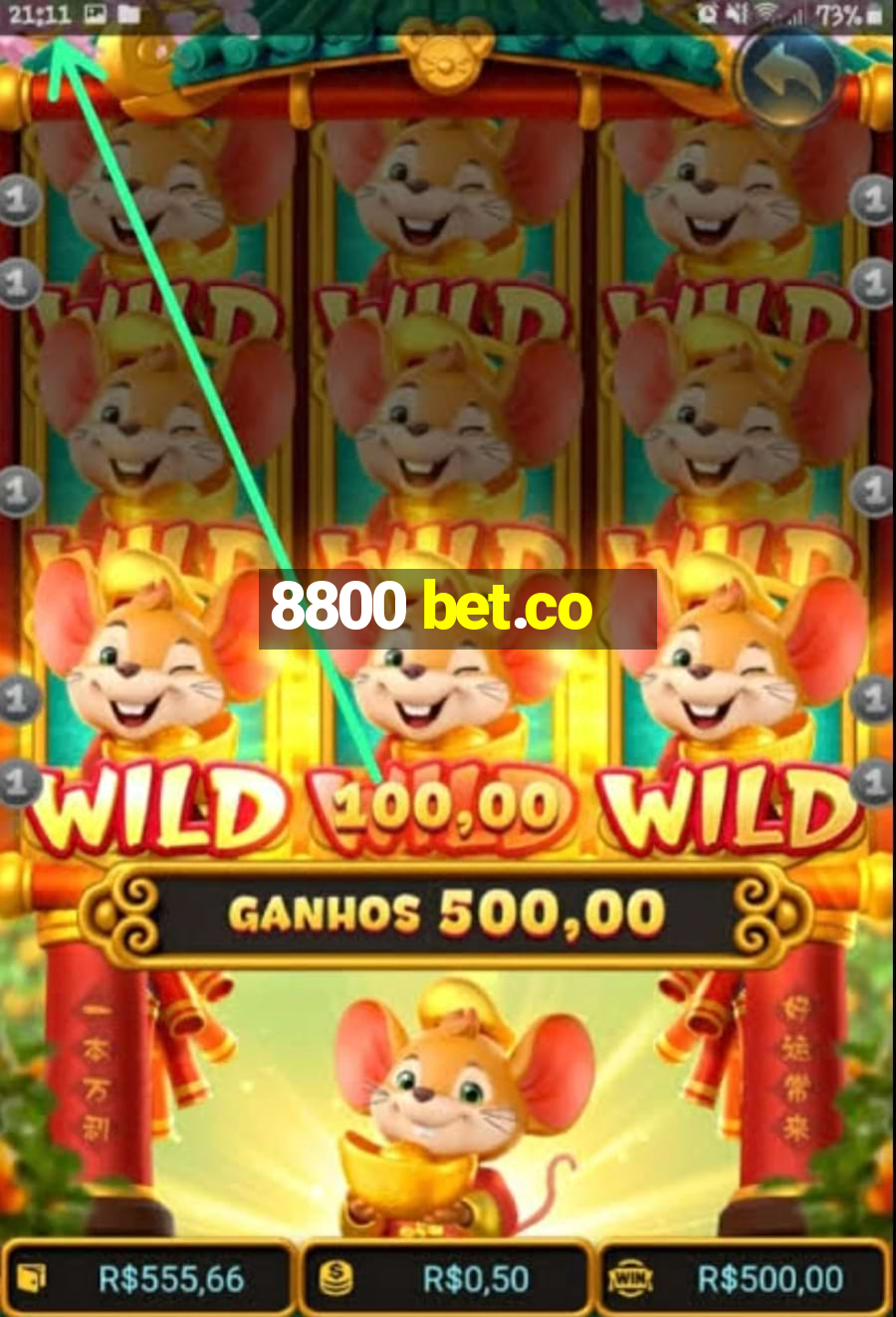 8800 bet.co