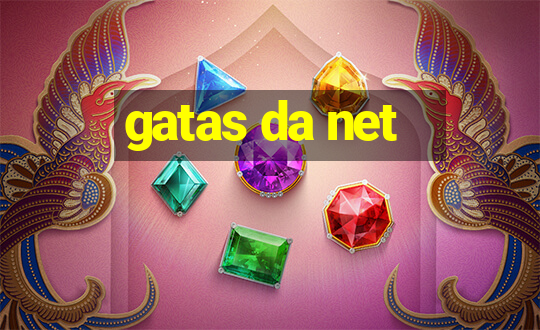 gatas da net