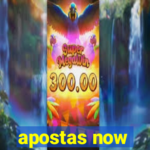 apostas now