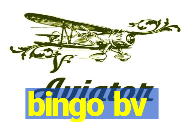 bingo bv