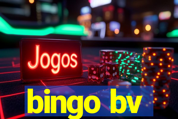 bingo bv