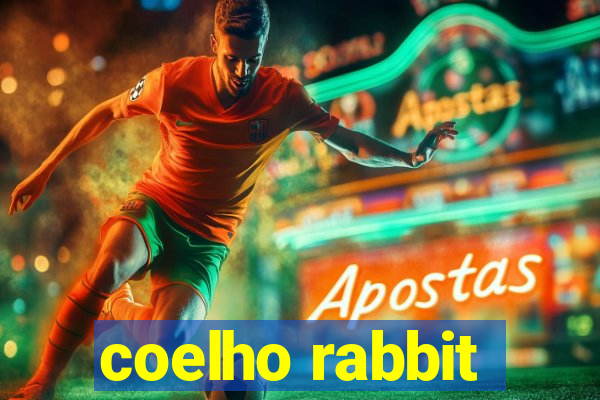 coelho rabbit