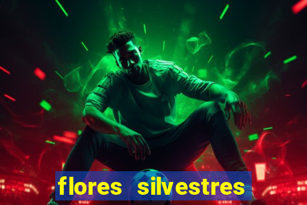 flores silvestres desbravadores desbravadores 25 flores silvestres e seus nomes