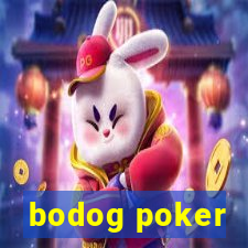 bodog poker