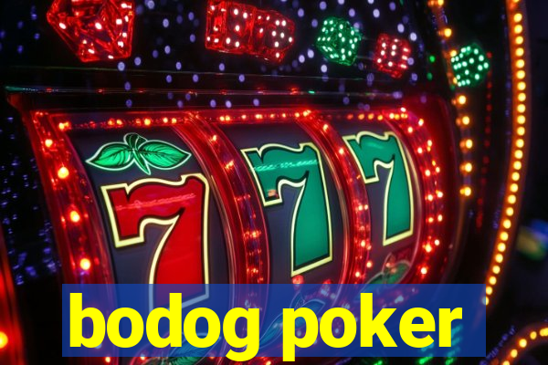 bodog poker