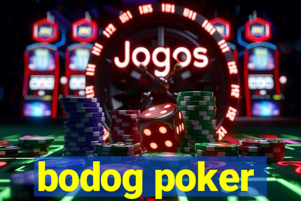 bodog poker