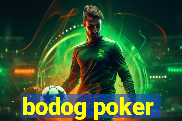 bodog poker