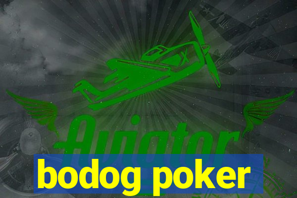 bodog poker