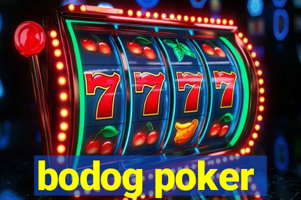 bodog poker