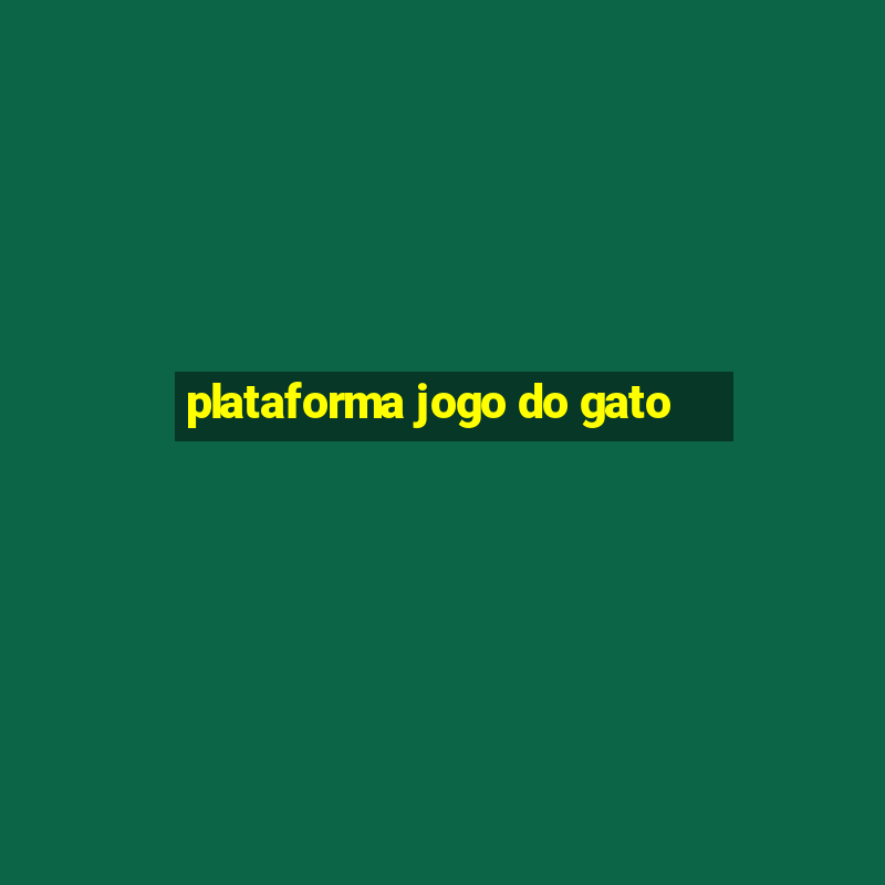 plataforma jogo do gato