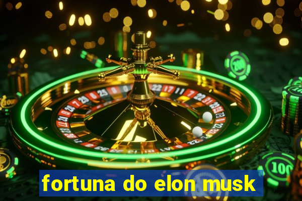 fortuna do elon musk