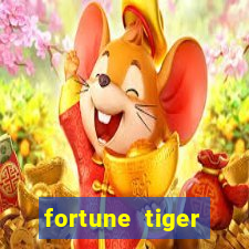 fortune tiger fortune tiger