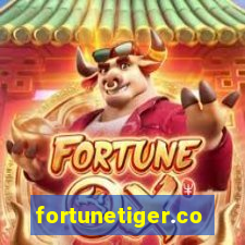 fortunetiger.com